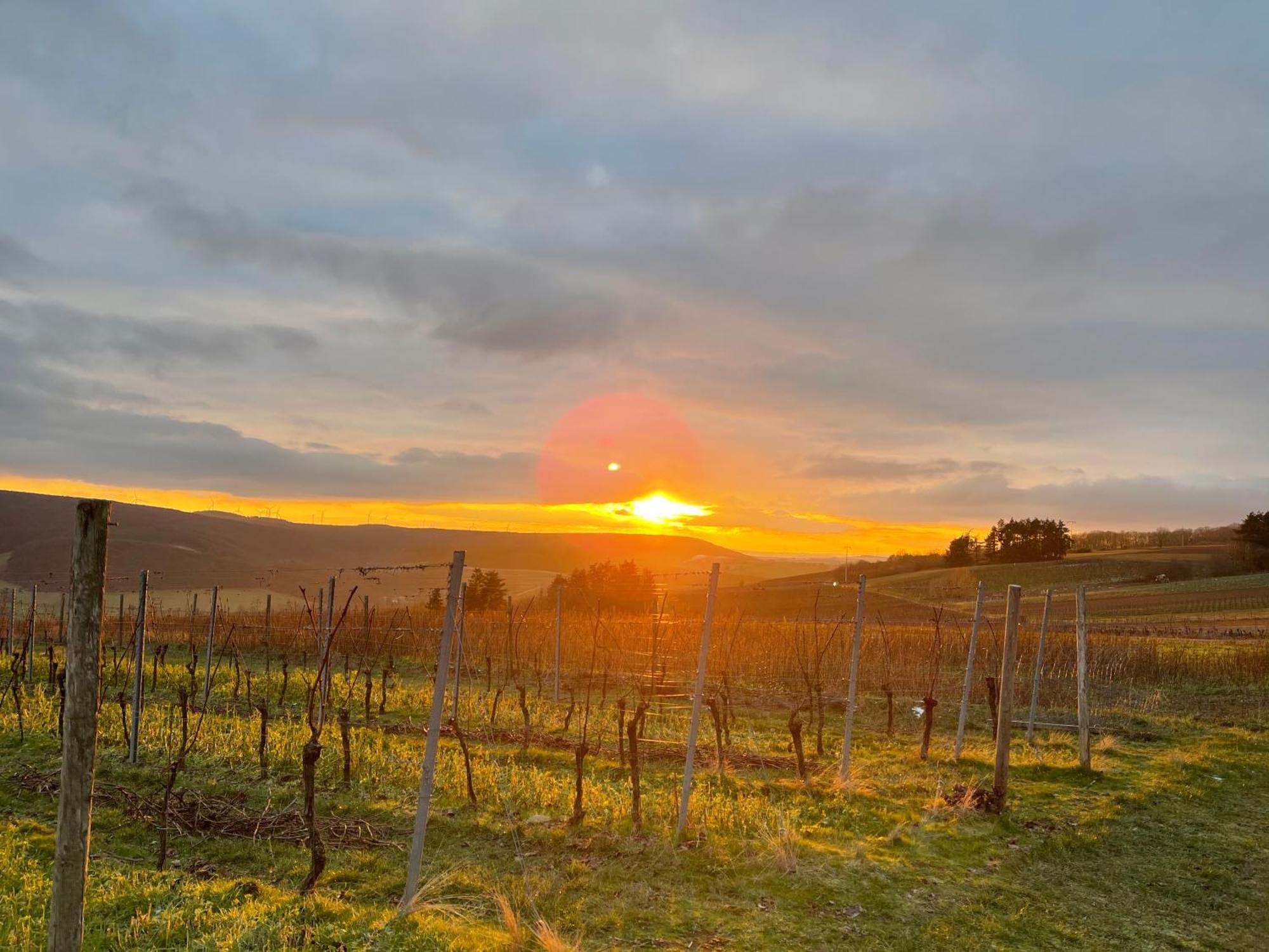 Landhotel Lembergblick Feilbingert エクステリア 写真