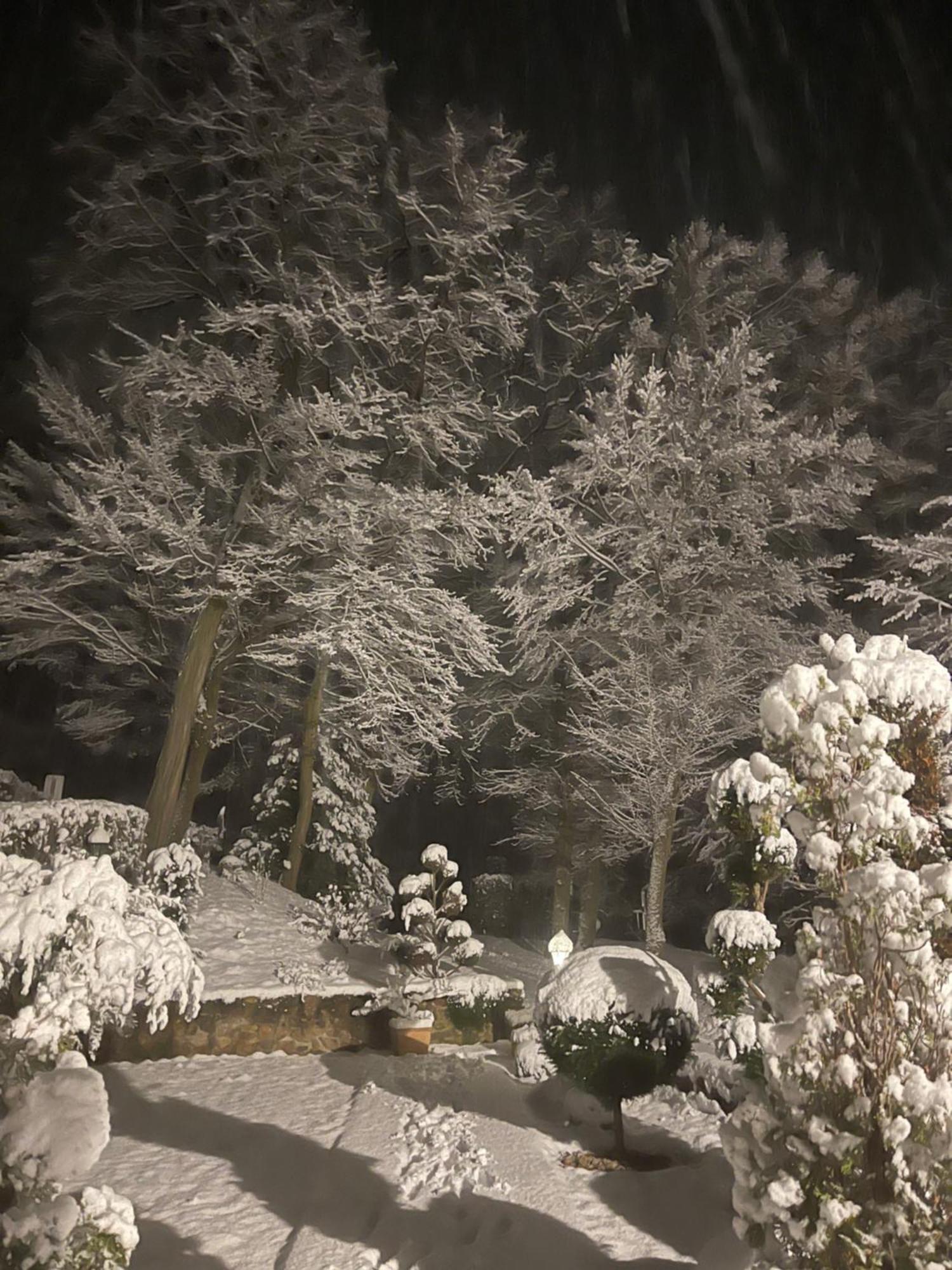 Landhotel Lembergblick Feilbingert エクステリア 写真